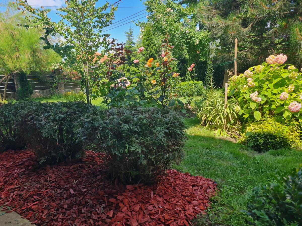 Natura Airport Apartment Belgrád Kültér fotó